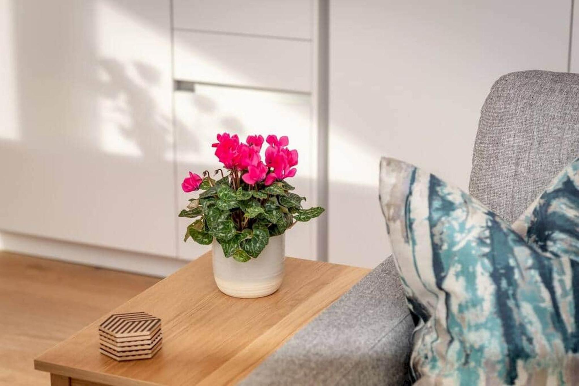 Lade Braes Apartments - No 22D เซนต์แอนดรูว์ ภายนอก รูปภาพ